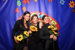 FLOWER SUTTON - Sábado